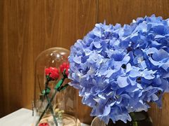 -月下料理(楷林IFC店)