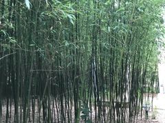 -竹泉村旅游度假区