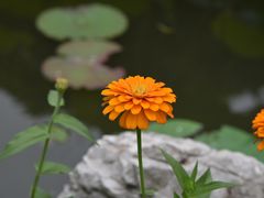 -洪湖家庭农场·团建·露营·会议