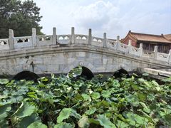 -清东陵