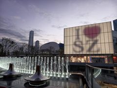 -深圳湾万象城(南山店)