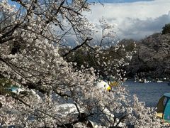 -井之头恩赐公园