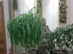 -山海经·海边人家 海鲜新青岛菜(扬州路店)