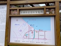 -长田漾湿地公园