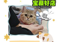 -越美小馆·越南料理(曲江店)