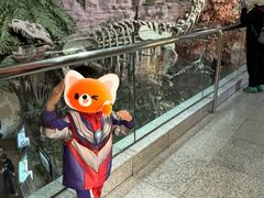 -河南自然博物馆
