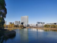 -大兴滨河森林公园