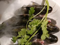 -野山舂·贵州现舂酸汤牛肉(民生路店)