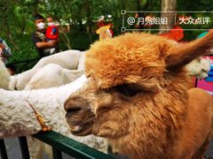 -北京野生动物园