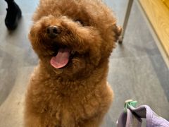 -汤姆宠物(长青北路店)