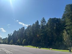 -五营红松林海景区