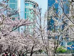 -西北湖绿化广场