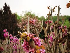 -西安汉城湖景区