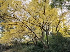 -汇龙潭