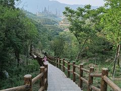 -白水寺森林公园