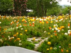 -名花谷生态庄园