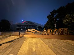 -合肥大剧院