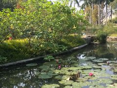-云溪植物园