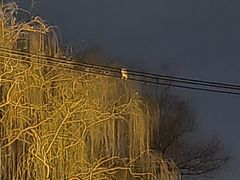 -安定门(地铁站)