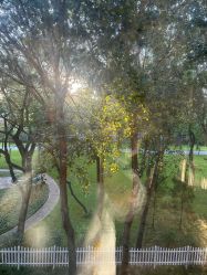 -皇家月府月子中心(沈阳店)