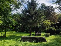 -黑龙江省森林植物园