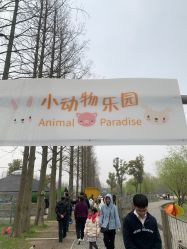 -前小桔亲子创意农场·草莓采摘·露营烧烤