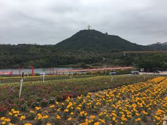 -东部华侨城