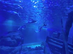-江和美海洋公园
