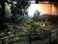 -陕西自然博物馆