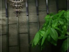 -LANN I 蘭 泰式古法按摩(徐家汇城开YOYO店)