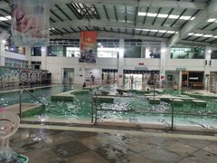 -中山夏威夷游泳馆(小榄店)