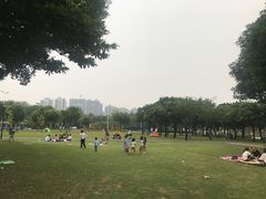 -文华公园(禅城区)