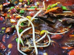 -王鸡肉