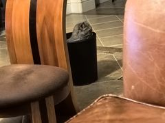 -德元·美联众合24小时动物医院(总院)