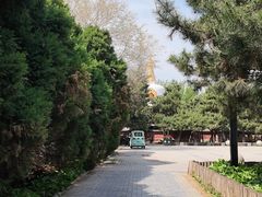 -护国法轮寺