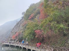 -秦岭终南山世界地质公园翠华山景区