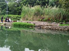 -成都市活水公园