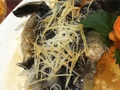 -世纪缘国际酒店·中餐厅(海州店)
