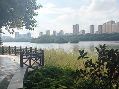 -南宁南湖公园