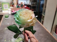 -弗劳尔花艺坊(龙涛店)