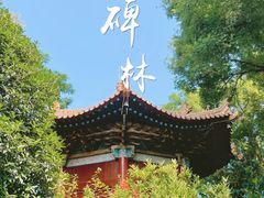 -西安碑林博物馆
