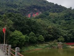 -宝晶宫旅游景区