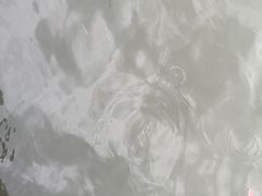 -西湖游船