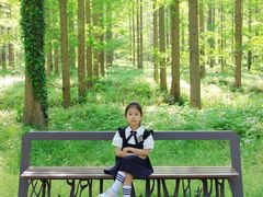 -黄海国家森林公园