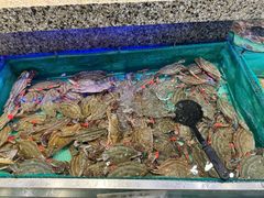 -初色海鲜自助(万丰路店)