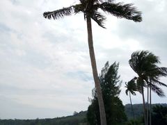 -椰树岛海滩度假村