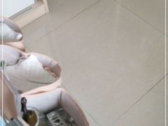 -紫光园·烤鸭·北京菜(劲松店)