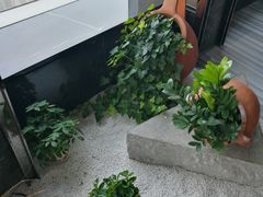 -唐拉雅秀酒店-西锦汇空中BBQ·思创餐厅