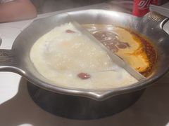 -九鼎轩脆毛肚火锅(三钢里店)