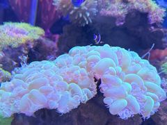 -多彩贵州城极地海洋世界